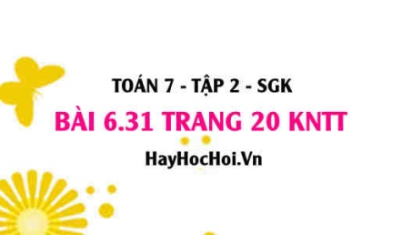 Bài 6.31 trang 20 Toán 7 Tập 2 Kết nối tri thức